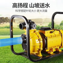 农用灌溉水泵大流量抽水泵2寸3寸4寸高扬程自吸离心泵污水泥浆泵