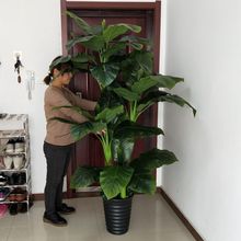 发财树仿真植物落地盆栽大型盆景假花塑料花装饰仿真绿植亚厂代发