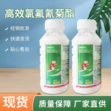 高效氯氟氰菊酯 互惠绿功 针对蚜虫 在其大面积发生前用药 杀虫剂