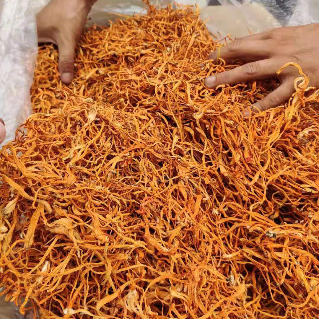 散草虫草花 干虫草花乱草食用菌500g农家南北干货农产品量大批发