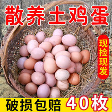 鸡蛋【破损包赔】正农家土鸡蛋散养农村笨新鲜营养柴鸡蛋草鸡蛋
