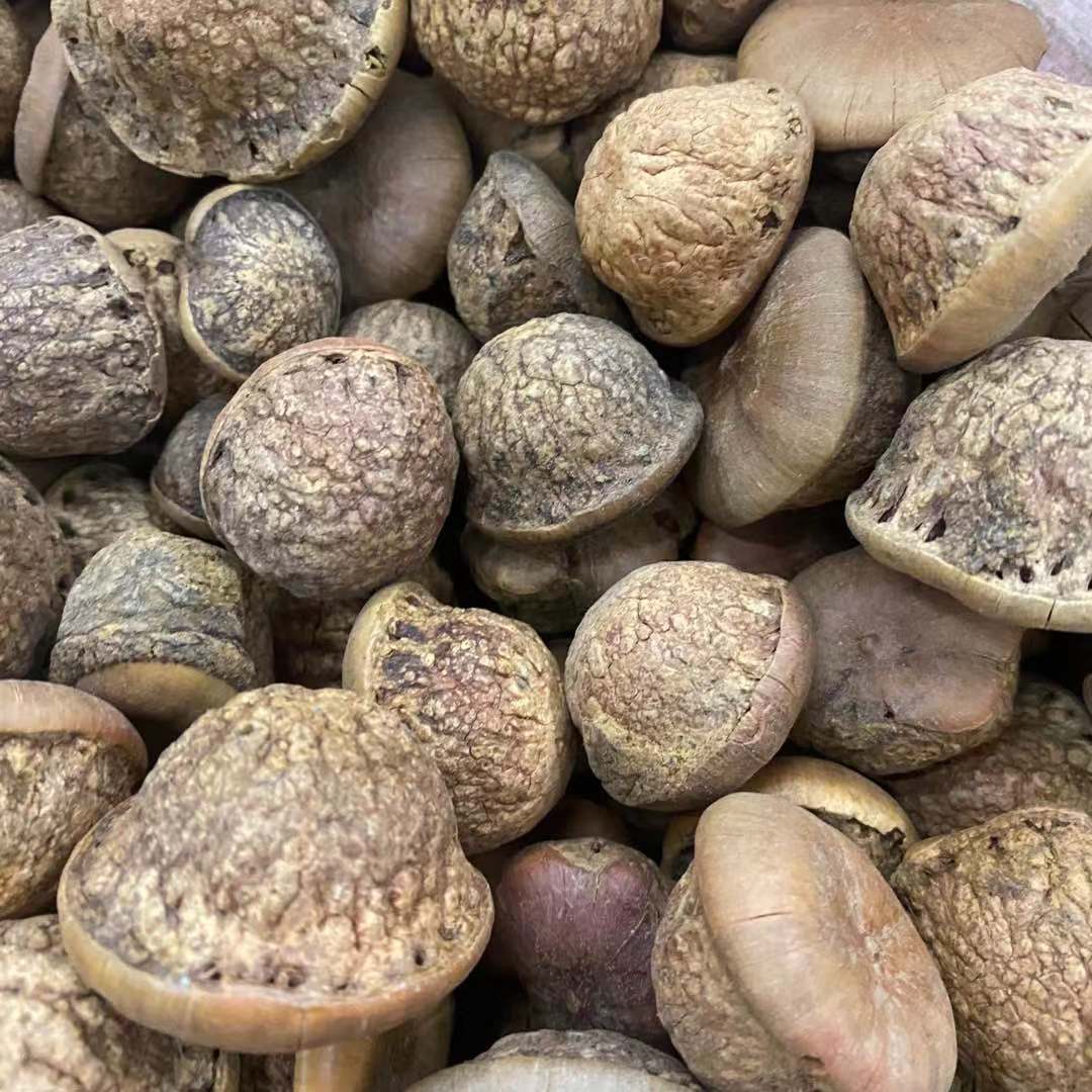 2021新货风流果 厚鳞柯 龟头果 益肾子龟头子阳果男性泡酒料500克