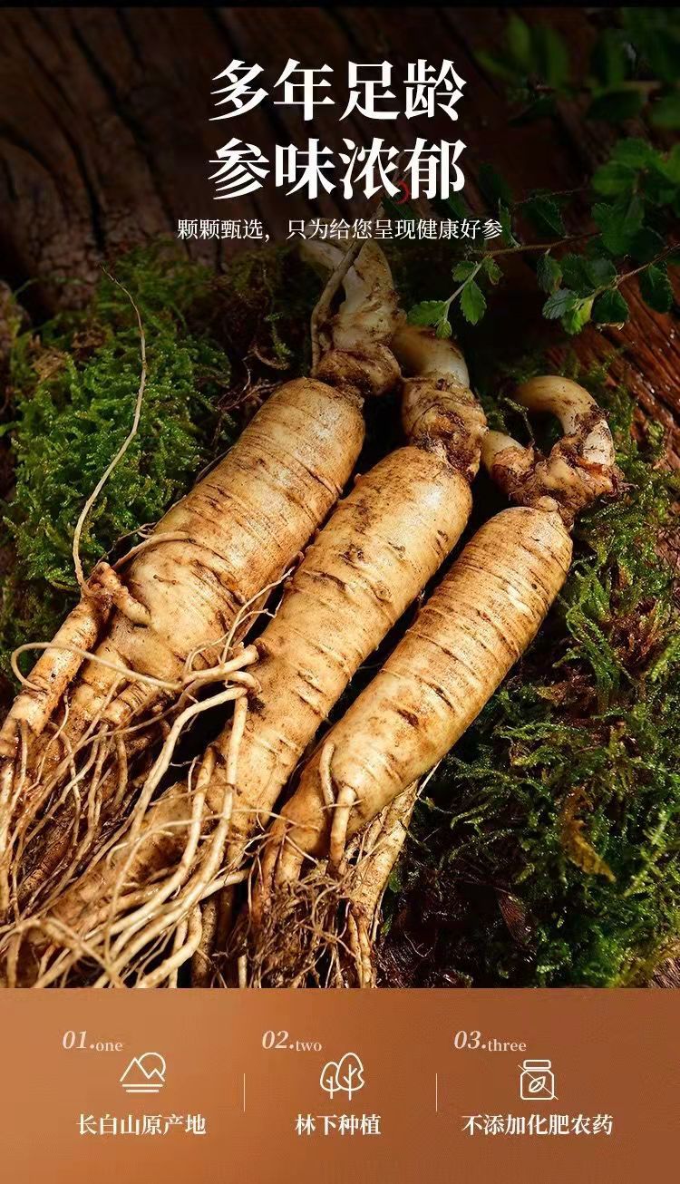 鲜参长白山新鲜人参带土圆参白参批发泡酒料煲汤大人参批发土特产