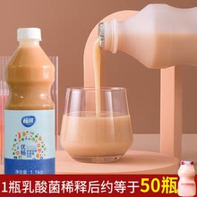 畅琪乳酸菌 1.1kg乳酸菌饮品风味益菌多发酵酸奶奶茶店专用原料