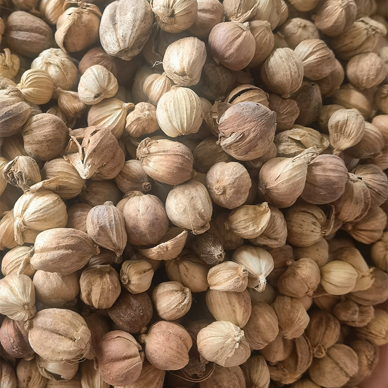 白蔻卤料 白豆蔻 白扣 印尼白蔻 调味料调料火锅底料农产品香辛料