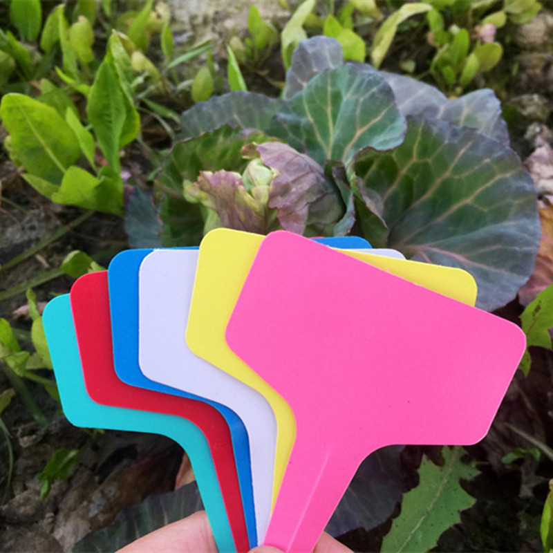 Fan Surface 20cm Cross-Border Plastic Thickened Flower Brand Gardening Label