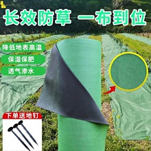 防草布厂家绿黑遮草布地膜果园果树农用抗老化加厚渗水除草布