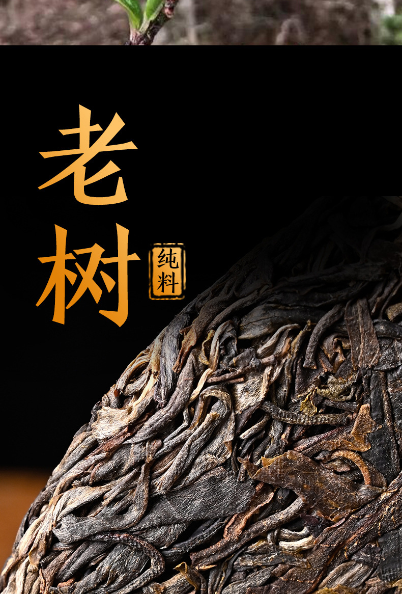 普洱茶生茶 357克大雪山古树茶2021年头春大树茶 云南七子茶饼