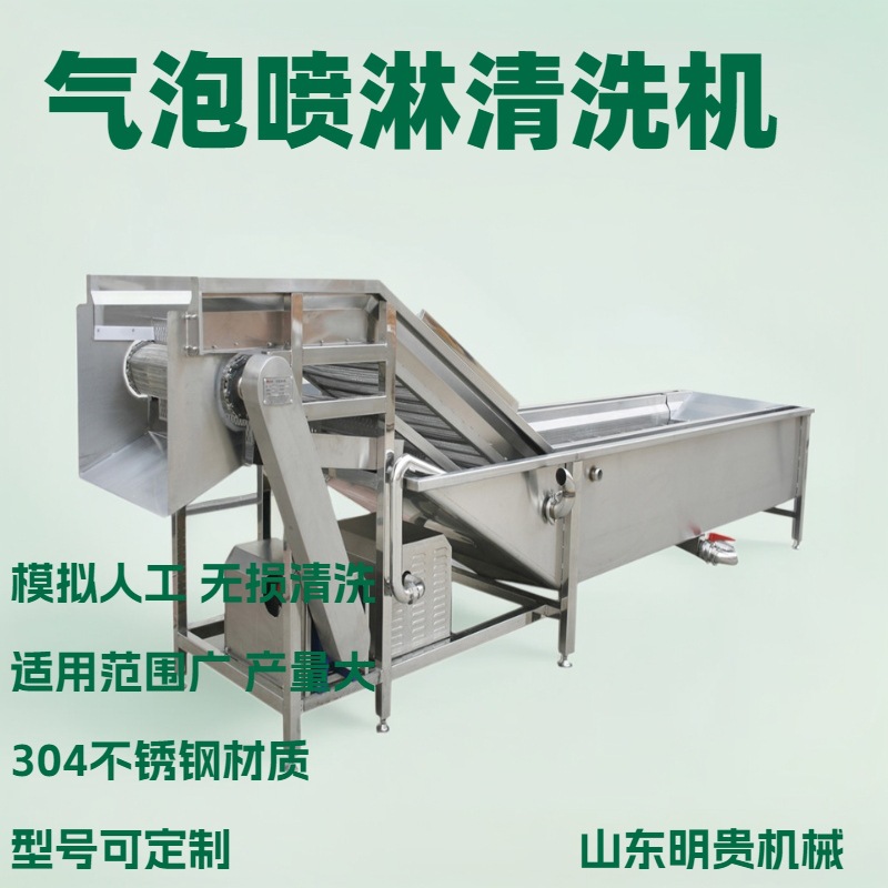 桑芽菜气泡清洗机 枸杞蔬菜清洗流水线 连续式涡流洗菜机器