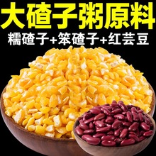 玉米碴东北芸豆玉米碴2022新玉米糊粗粮煮粥大碴粥原材料笨大碴子