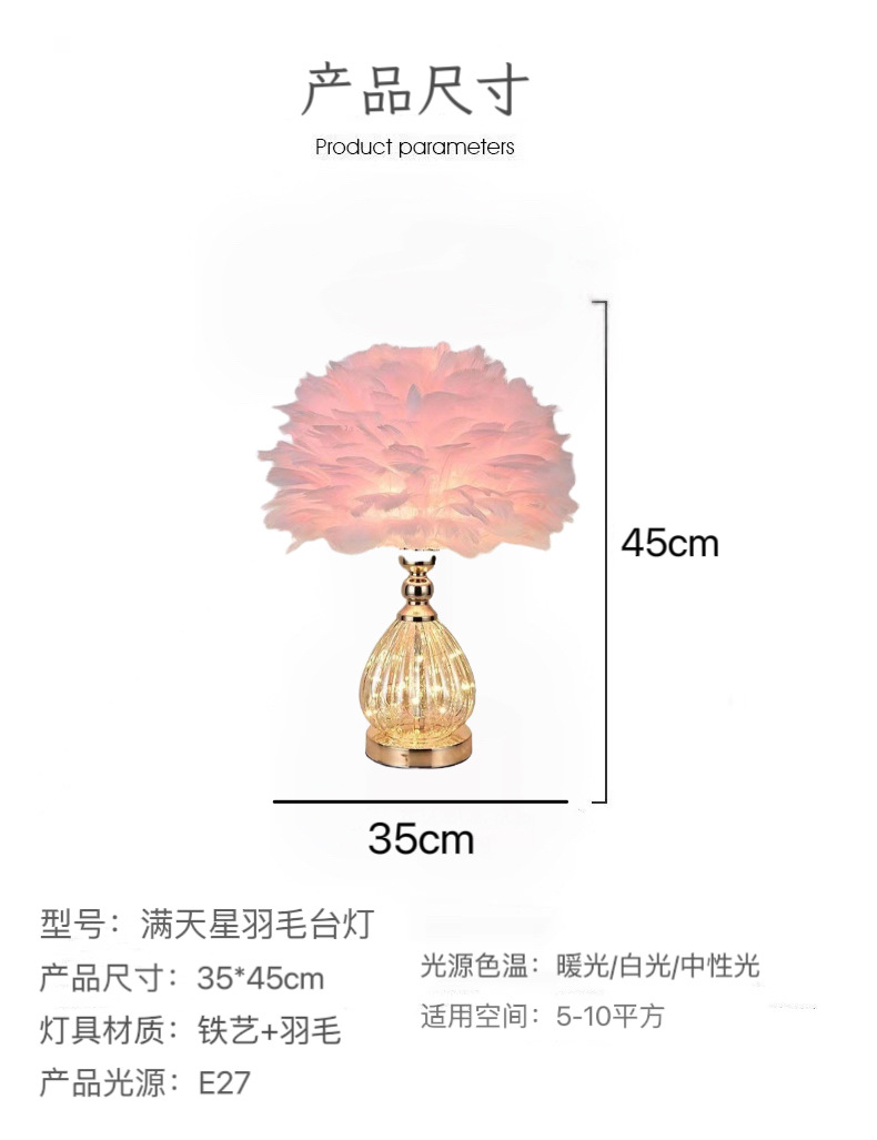 Cross-Border New Starry Feather Table Lamp Ins Style Girl's Bedroom Bedside Atmosphere Decorative Lamp Birthday Gift