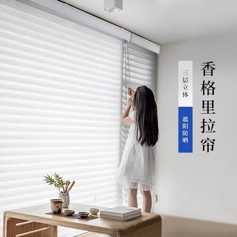 Louver Curtain Day & Night Curtain Soft Gauze Roller Shades Double-Layer Roller Shade Roller Blind Curtain Tracery Window Screen