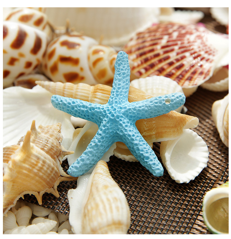天然海星贝壳海螺组合浪漫地中海风情家居装饰婚礼布置拍摄道具