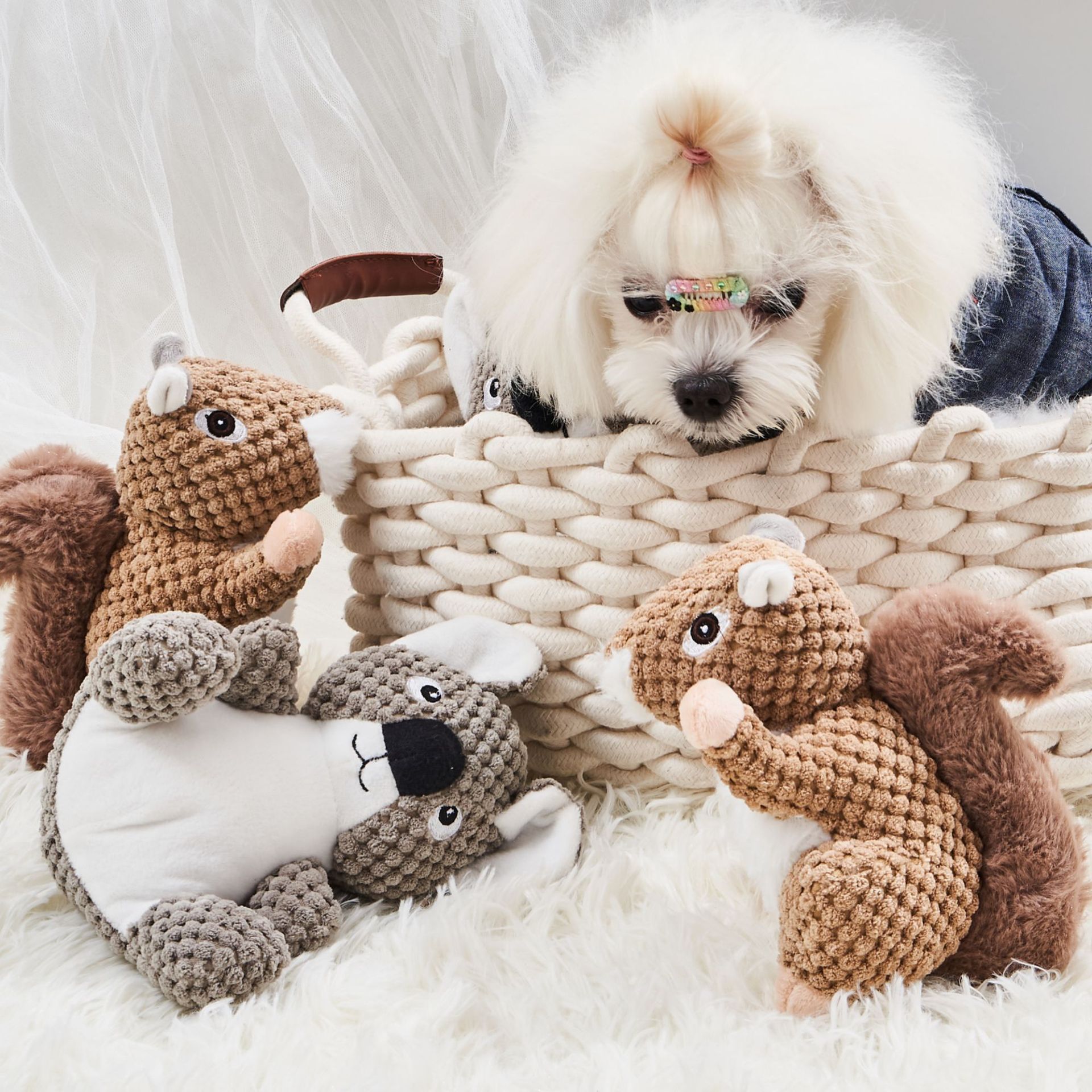 宠物狗狗玩具玉米绒发声毛绒玩具松鼠考拉卡通造型宠物用品批发