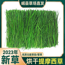 2024提摩西干草晒干烘干全叶北提兔子龙猫豚鼠荷兰猪饲料牧草兔粮