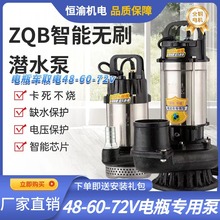 ZQB直流无刷潜水泵静音48V60V电动车污水泵切割高扬程农田灌溉