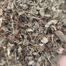 中药材批发小叶金钱草广金钱草干净散装500g量大从优 实物图发货