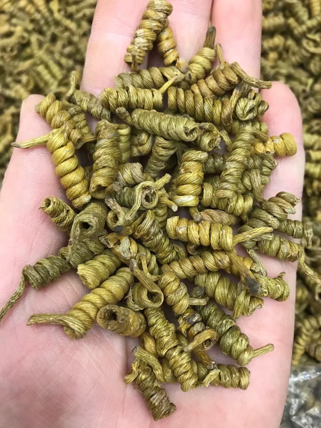 铁皮石斛枫斗霍山产地5年石斛原产地铁皮米斛石斛批发礼盒-阿里巴巴