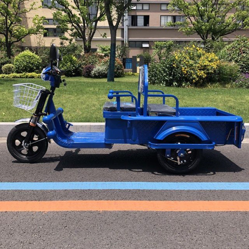 电动三轮车拉货小型家用电瓶车摆地摊货运平板车成人代步接小孩