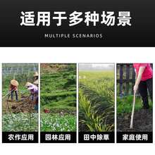 种菜家用锄头老式挖地多功能锰钢小锄头农具农用工具大全除草