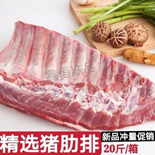 新鲜冷冻猪排骨猪肋排 多肉肋排猪小排猪仔排 猪 20斤/箱饭店食堂