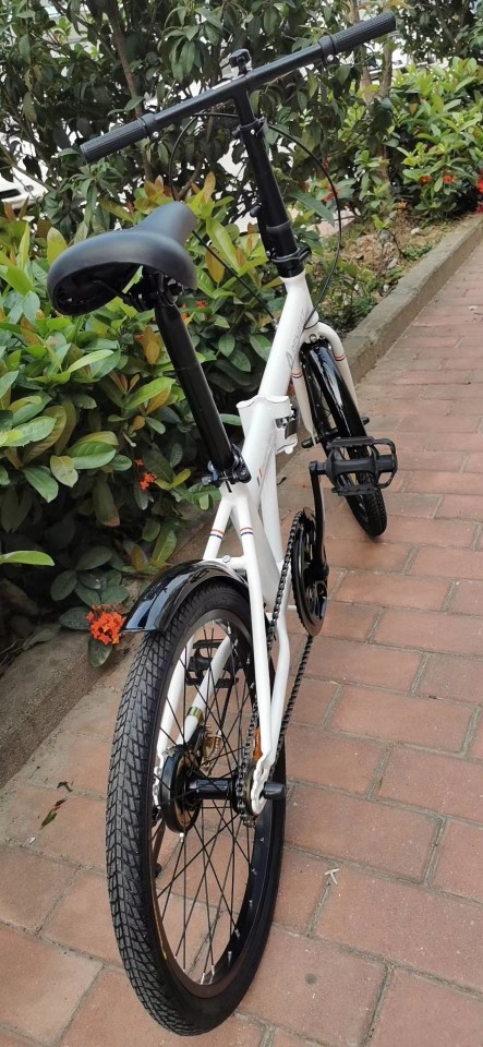 原箱renault雷诺城市休闲20寸折叠自行车单车单速r200h珍珠白