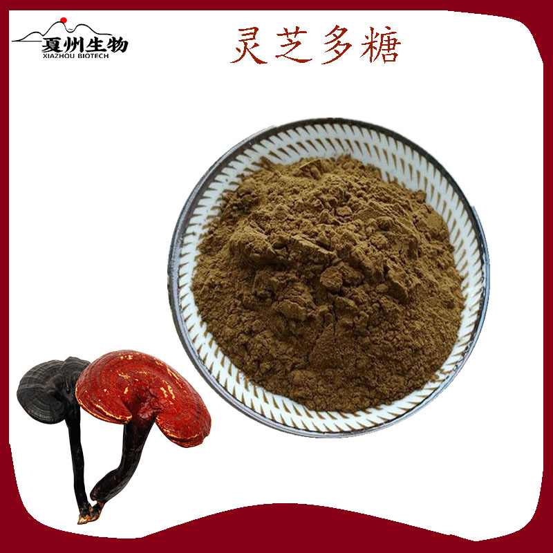 灵芝多糖50% 30%  菌丝体多糖 灵芝提取物 夏州生物现货供应 1kg