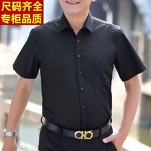 男士衬衫夏季加肥加大短袖白衬衫商务职业宽松色免烫工装半袖衬衣