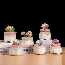 多肉花盆 控型冰裂流釉桃蛋素白底 陶瓷简约创意  绿植冰心小花盆