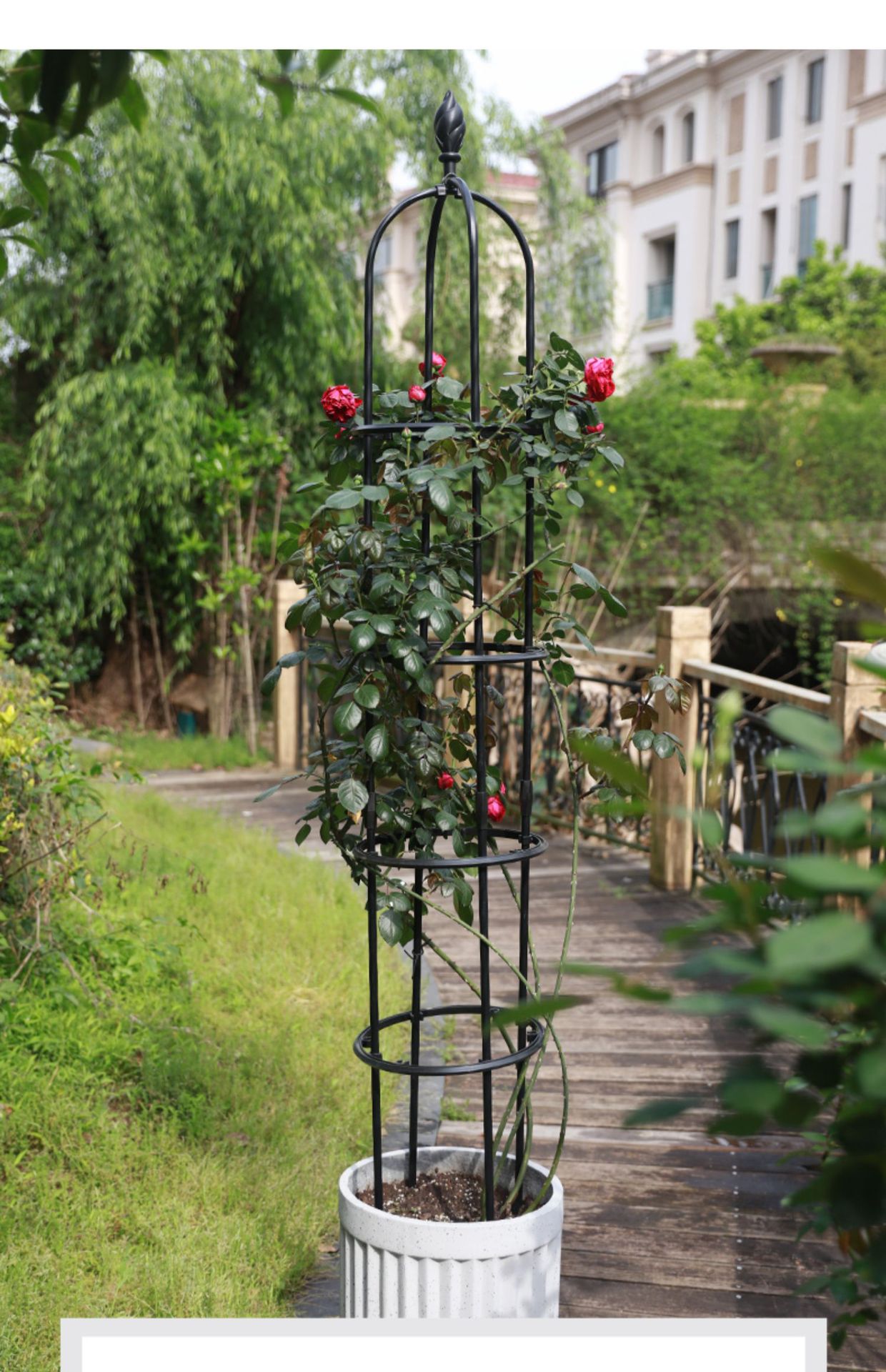 花架支架爬藤架藤本月季攀藤架圆柱花盆架植物支架子