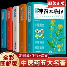 全8册本草纲目伤寒论黄帝内经温病金匮药略中医理论安心放心书籍