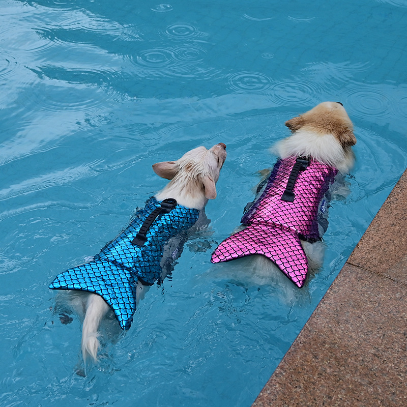 道格人鱼公主cosplay宠物救生衣狗狗游泳衣大中型狗夏天游泳服