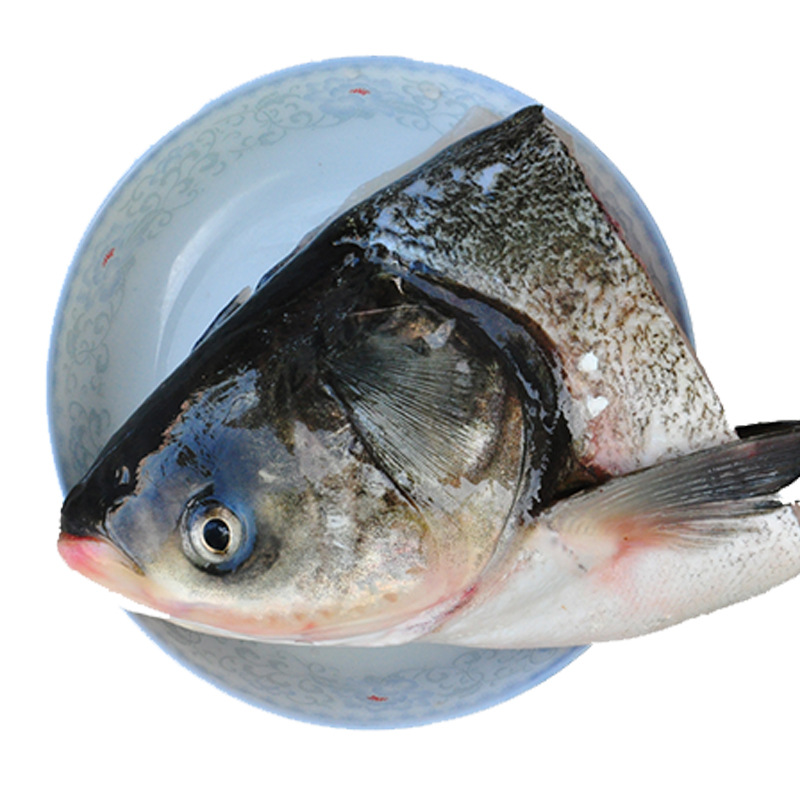 3kg左右/只 胖头鱼 鲢鱼头剁椒用大头鱼头煲汤连鱼头花鲢鱼10kg