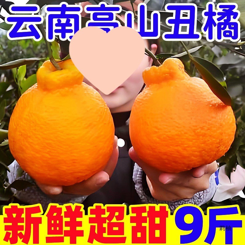 云南不知火丑橘10斤新鲜水果应当季时令整箱包邮桔子耙耙丑柑直销