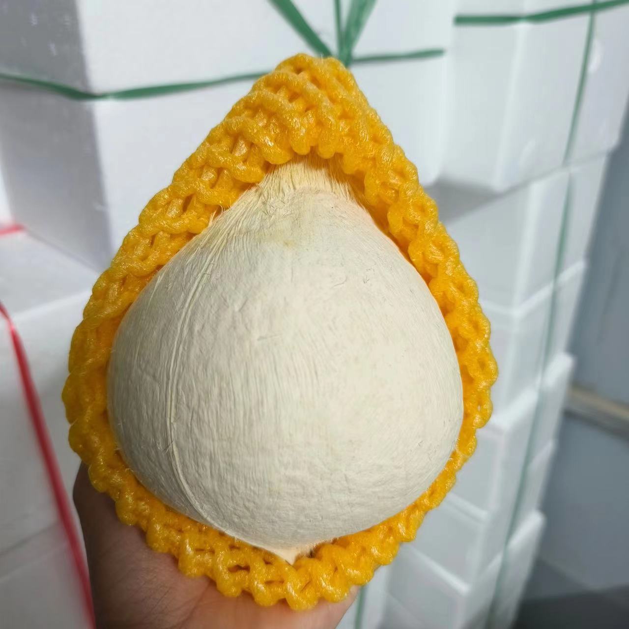 海南牛奶椰白顺丰发货新鲜牛奶老椰子去皮椰青小奶椰水果椰皇椰汁