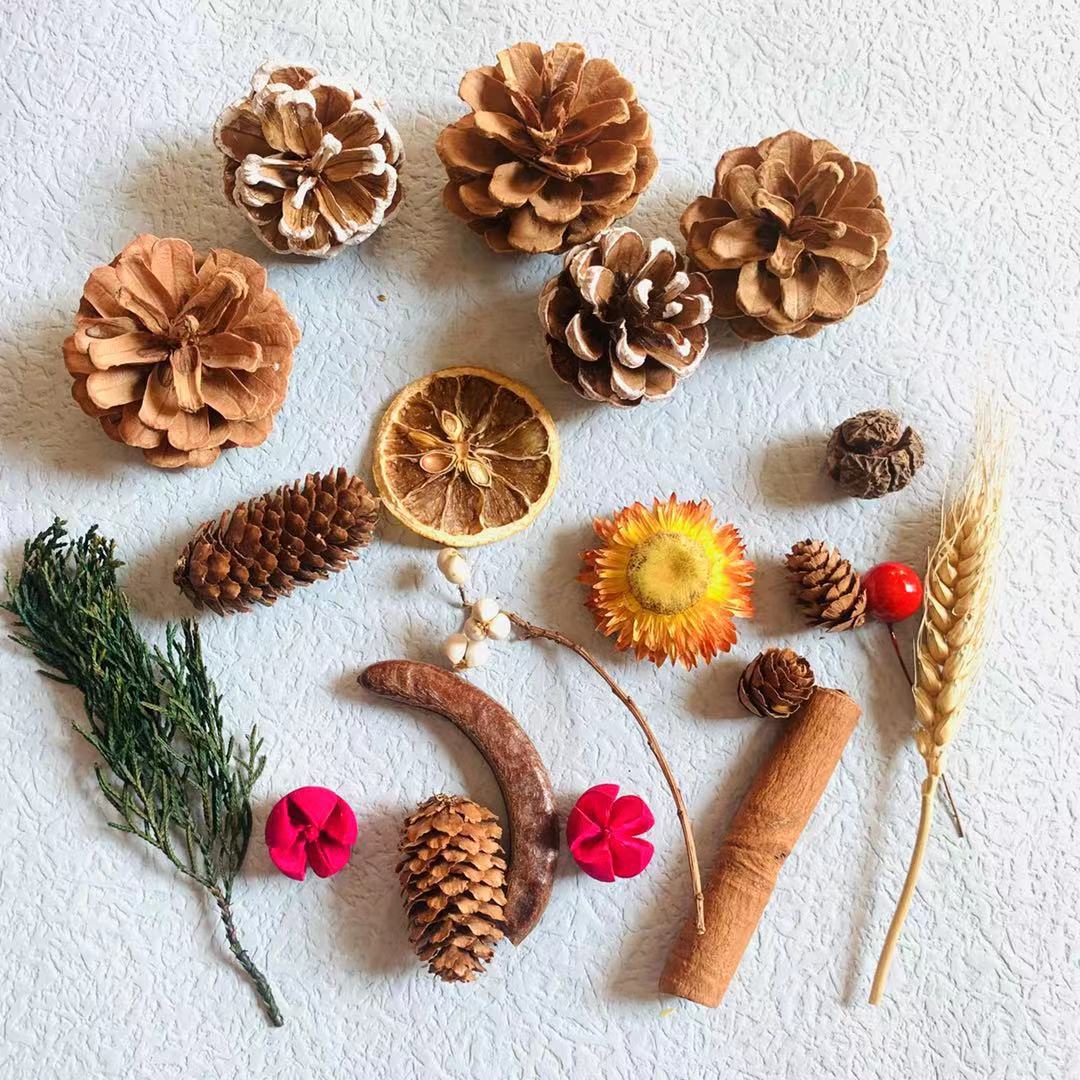 圣诞diy果子30种150个果壳橡果松果幼儿园环创材料拍摄道具摆件