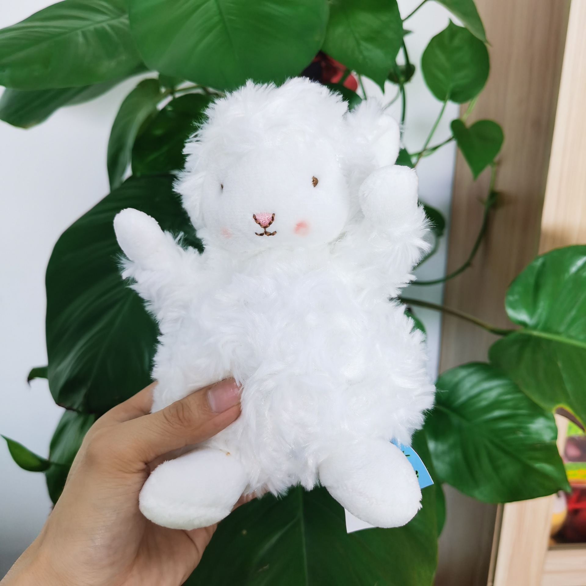 抖音同款礼盒小绵羊 网红新款bunnies小羊玩偶安抚毛绒玩具布娃娃