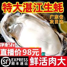 顺丰包邮湛江生蚝鲜活广东新鲜海鲜水产特大带壳牡蛎保活