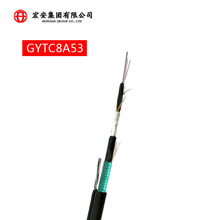 【加工定制】铠装室外架空通信光缆 GYTC8A53松套层绞式光纤光缆