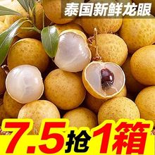 现摘泰国进口龙眼1/5斤桂圆热带应季新鲜水果孕妇龙眼整箱批发价