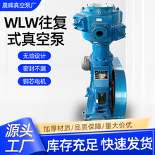 WLW往复式真空泵 化工行业用高真空度真空泵 无油立式真空泵