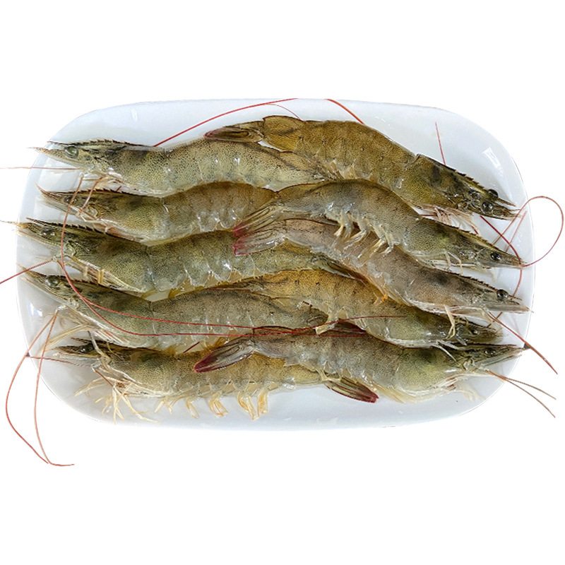 对虾新鲜海水海鲜水产基围虾海虾白虾青虾明虾白刺虾鲜活冷冻大虾