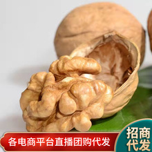 新疆多口味熟核桃批发代发500g 椒盐草本奶香味纸皮手剥开口熟核