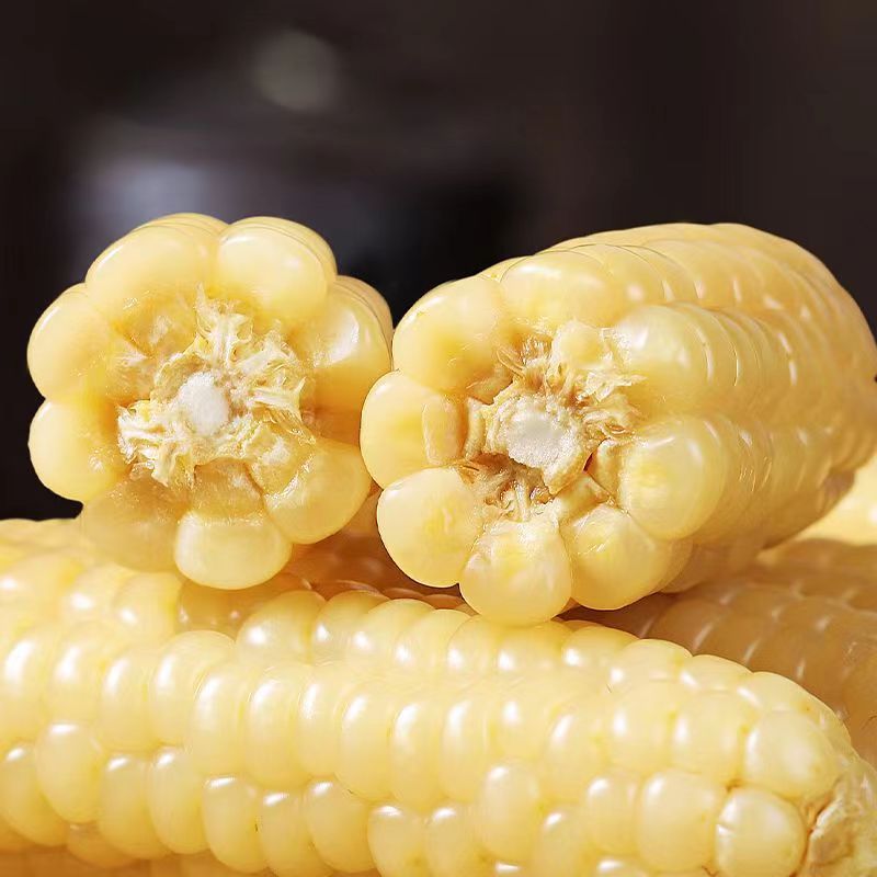 拇指玉米云南西双版纳香糯小玉米傣家手指嫩新鲜糯玉米-阿里巴巴