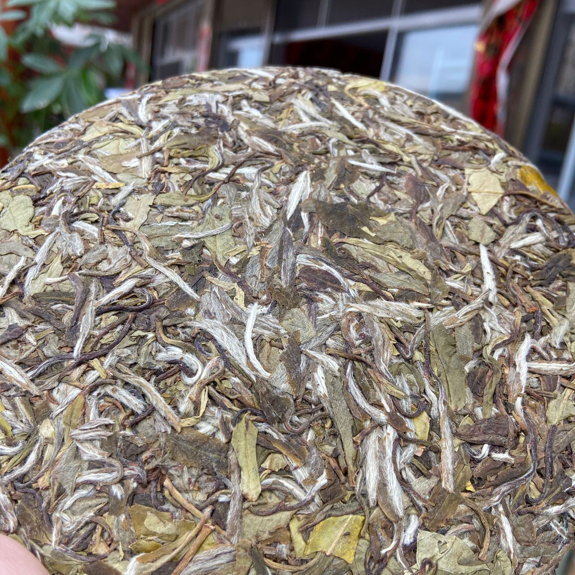 2021年白牡丹老白茶饼 高山白茶饼福建白茶300g厂家批发定制