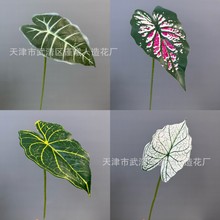 单片仿真绿萝叶龟背叶家居客厅植物摆件婚庆假花装饰跨境绿植批发