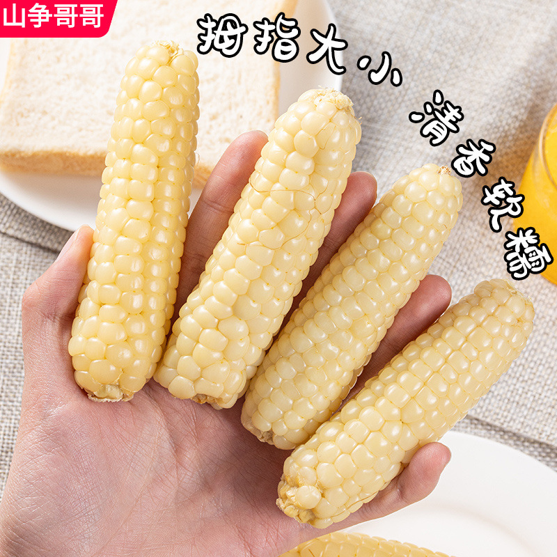 西双版纳香糯拇指小玉米礼盒装云南特产香甜软糯傣家-