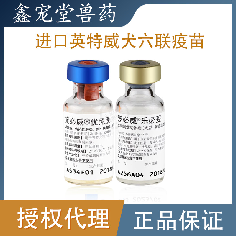 进口英特威成犬狗狗疫苗宠必威幼犬6联六联每年加强针