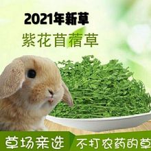 优质紫花苜蓿草提摩西草幼兔粮食干草豚鼠龙猫荷兰猪兔子主粮牧草