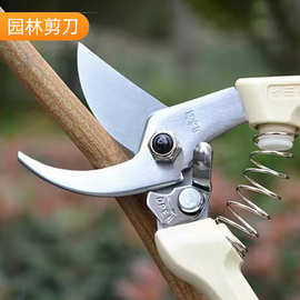 广州园林工具剪刀